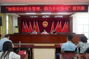 加强农村财务管理，汕尾助力乡村振兴